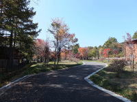 �~�n����̍g�t