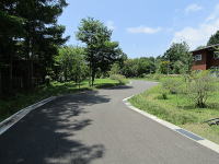 �~�n����̗l�q