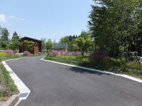 �~�n�̃A�v���[�`���H