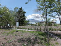 ��ԎR�������܂�