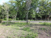 �~�n���̌i�F