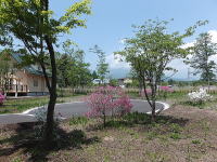 �~�n���N���h�T�b�N