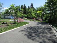 R�`�󓹘H���n�����ݓd��-���s�����E�����̔����E���R�����m��-