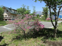 �T�[�N���`����Y��ȃN���h�T�b�N