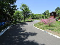 ���R���E�i�ς�����