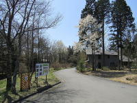 �l�G�܁X�̎��R-�R�u�V-