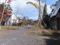 �~�n����̌i�F