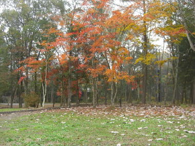 �H�̍g�t�̗l�q