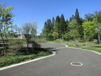 �V�΂̃A�v���[�`