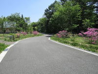 �~�n�̃A�v���[�`�E�c�c�W