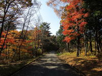 �v���C�x�[�g�A�v���[�`-�g�t