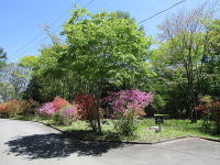 �R�����X�y�[�X-�V��-