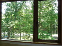 2F����-�쑤�̌i�F-