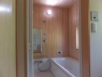 �q�m�L���̂����C