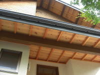 ����킵�̖؂̔�����