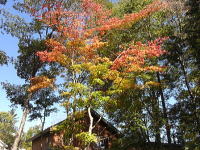 �쑤-�����������܂�-