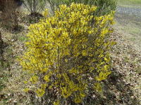 �����M���E